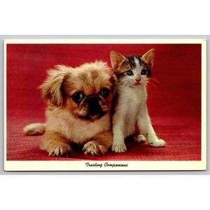 Trusting Companions Vintage Postcard Pekingese Dog Tabby Kitten